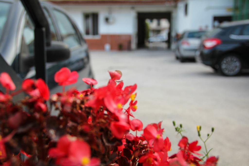 Hotel Santa Marta Ποτσουόλι Εξωτερικό φωτογραφία