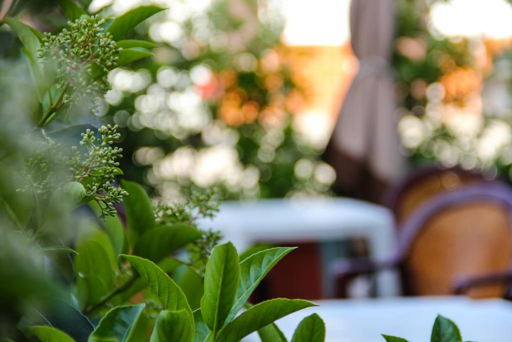 Hotel Santa Marta Ποτσουόλι Εξωτερικό φωτογραφία